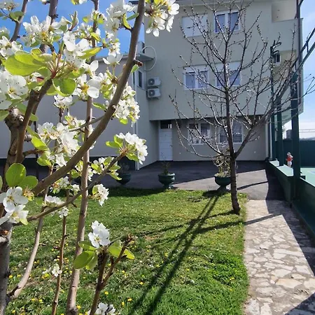 Set 3* Belgrade